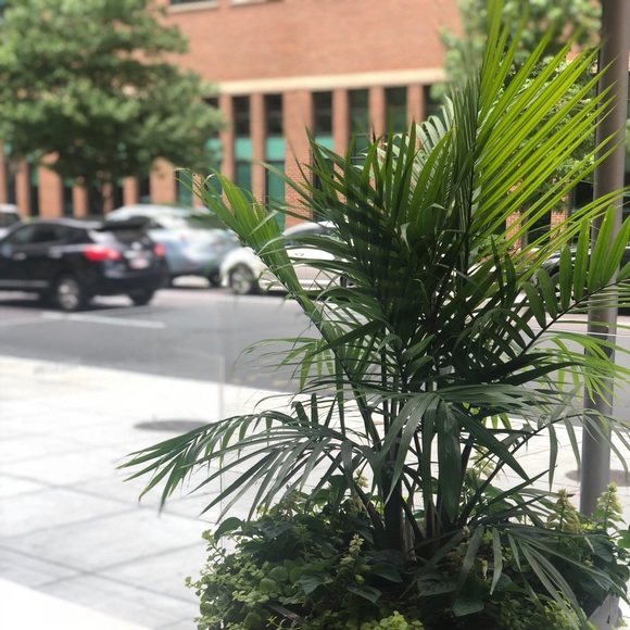 Meet your Posher, Tim - Picture 1 of 1